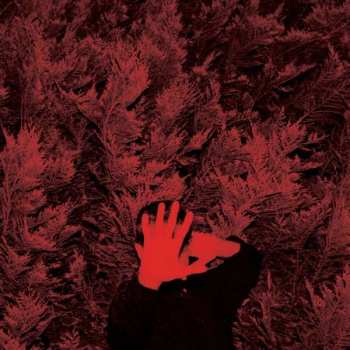 LP Cory Thomas Hanson: The Unborn Capitalist From Limbo