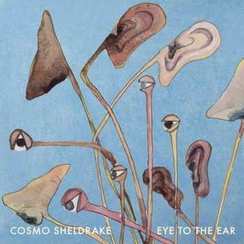 2LP Cosmo Sheldrake: Eye To The Ear LTD