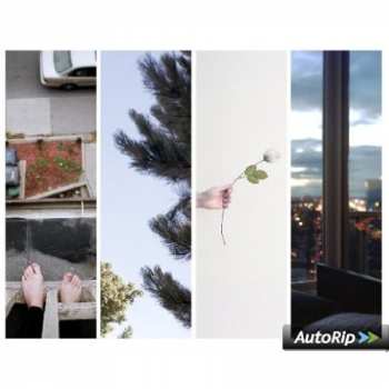 CD Counterparts: The Difference Between Hell And Home