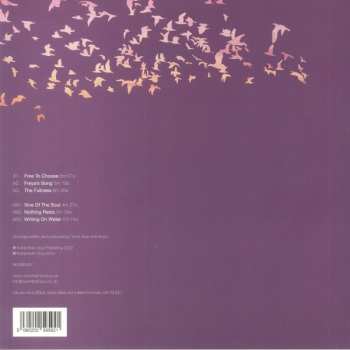 LP Coyote: Everything Moves, Nothing Rests