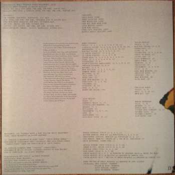 2LP Fleet Foxes: Crack-Up
