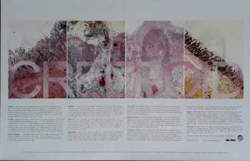 LP Creepoid: Creepoid