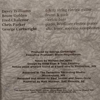 CD Curlew: Meet The Curlews!