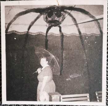 7CD/SP/Set di cofanetti Current 93: The Long Shadow Falls LTD