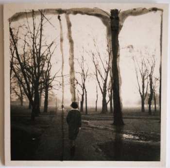 7CD/SP/Set di cofanetti Current 93: The Long Shadow Falls LTD