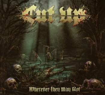 CD Cut Up: Wherever They May Rot LTD | DIGI