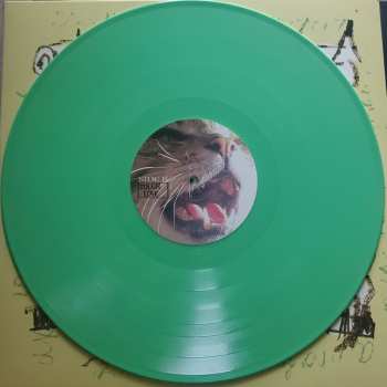 LP Daily Toll: A Profound Non-Event CLR | LTD