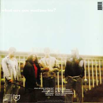 LP Daisies: What Are You Waiting For
