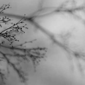 Album Emanuele Errante: What Matters Most