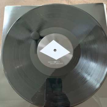 LP Damien Robitaille: Univers Parallèles