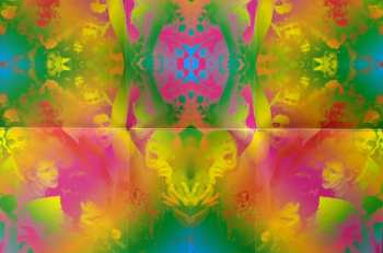 2LP Dan Deacon: Bromst