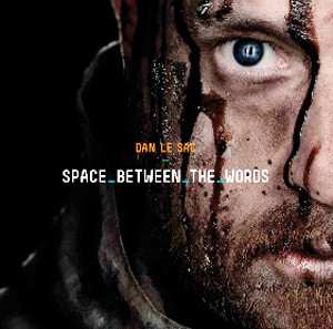 2LP Dan Le Sac: Space Between The Words