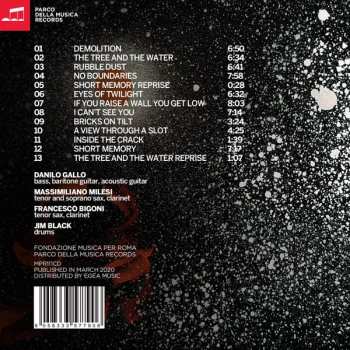 CD Danilo Gallo Dark Dry Tears: Hide, Show Yourself!