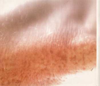 CD Danyel Waro: Grin N Syèl