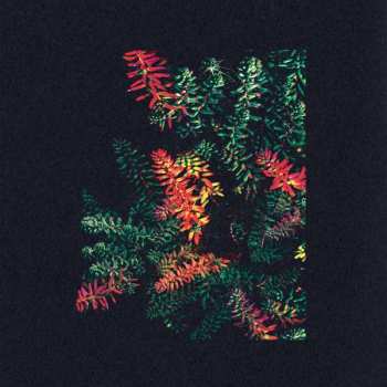 CD Dark Sky: Othona