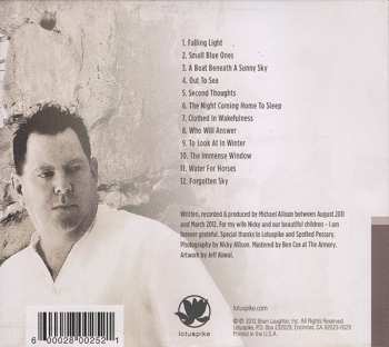 CD Darshan Ambient: Falling Light