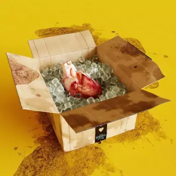 Das Lumpenpack: Emotions