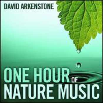 CD David Arkenstone: One Hour Of Nature Music