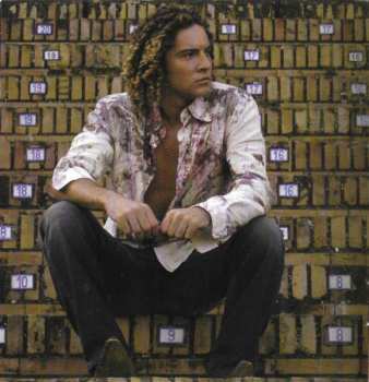 CD David Bisbal: Bulería