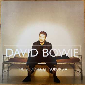 18LP/Set di cofanetti David Bowie: Brilliant Adventure [1992-2001] LTD