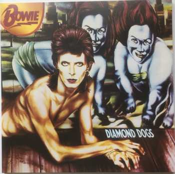 13LP/Set di cofanetti David Bowie: Who Can I Be Now? [ 1974–1976 ]