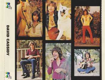 CD David Cassidy: Cherish / Rock Me Baby