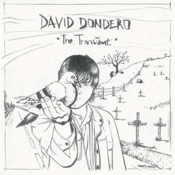 LP David Dondero: Transient (two-tone Black & White Vinyl)