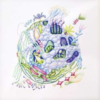 Album David Edren: Binnenin