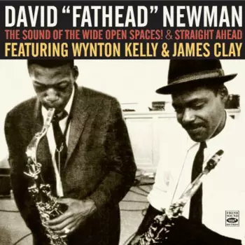 David "Fathead" Newman: The Sound Of The Wide Open Spaces ! + Straight Ahead