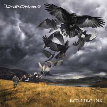 CD/DVD/Set di cofanetti David Gilmour: Rattle That Lock DLX