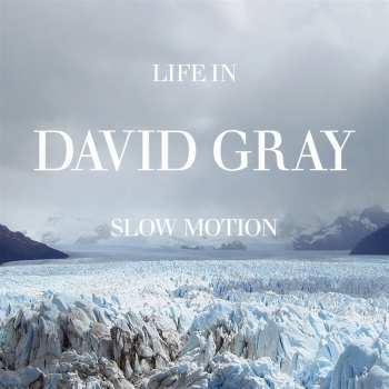 LP David Gray: Life In Slow Motion (20th Anniversary Edition) (black Vinyl)