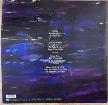 2LP David Gray: Skellig