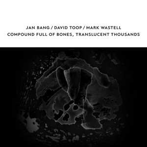 CD David & Jan Bang & Toop: Compound Full Of Bones, Translucent Thousands