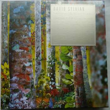 11CD/Set di cofanetti David Sylvian: Samadhisound 2003-2014 Do You Know Me Now?