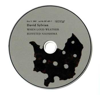 11CD/Set di cofanetti David Sylvian: Samadhisound 2003-2014 Do You Know Me Now?