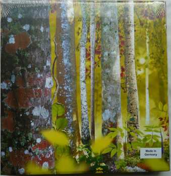 11CD/Set di cofanetti David Sylvian: Samadhisound 2003-2014 Do You Know Me Now?