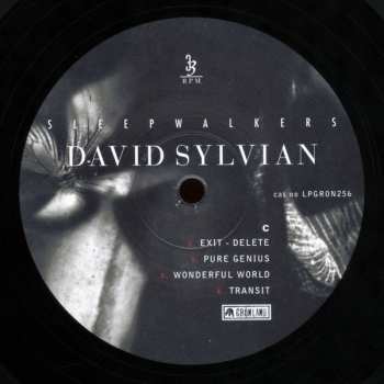2LP David Sylvian: Sleepwalkers