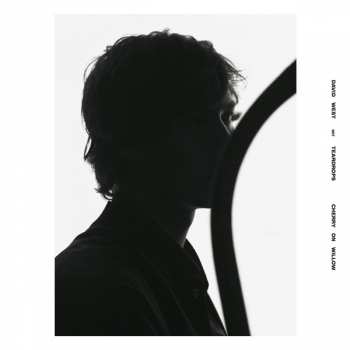 LP David West: Cherry On Willow LTD | CLR