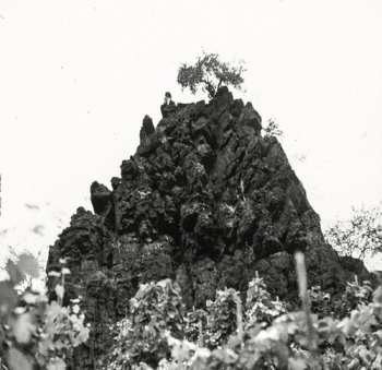 Album Davids,kat: Winterswell