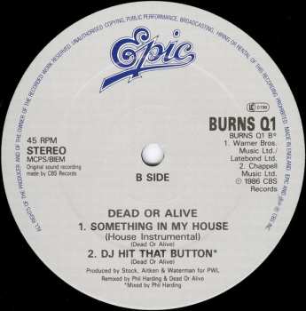 LP Dead Or Alive: Something In My House (U.S. Wipe-Out Mix Part 2)