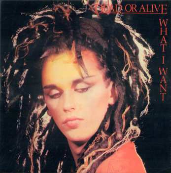 27CD/Set di cofanetti Dead Or Alive: Still Spinnin' - The Singles Collection 1983-2021 LTD