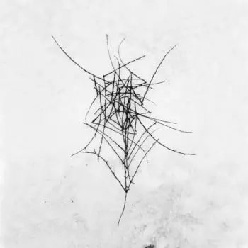 Dead Raven Choir: Schmerzengewalt