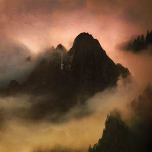 2LP Dead To A Dying World: Elegy LTD | CLR