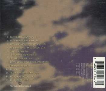 CD Déanta: Ready For The Storm
