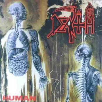 CD Death: Human