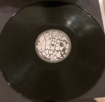 LP Death Grips: Bottomless Pit
