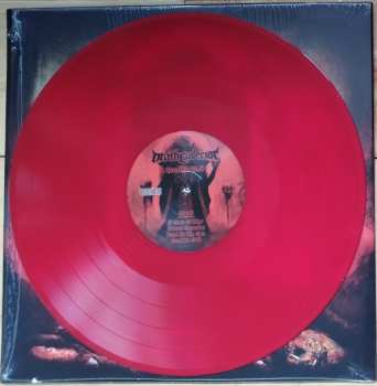 LP DeathCollector: Death's Toll LTD