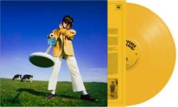 LP Declan McKenna: What Happened To The Beach? CLR | LTD