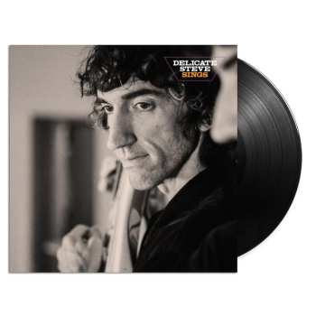 LP Delicate Steve: Delicate Steve Sings