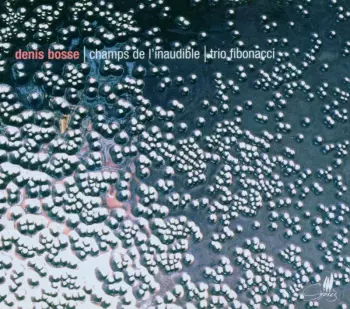 Denis Bosse: Champs De L'Inaudible